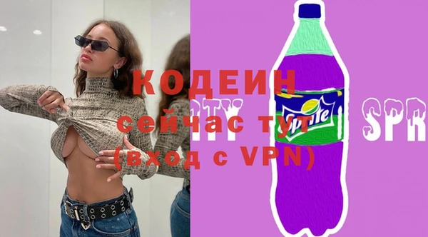 индика Абаза