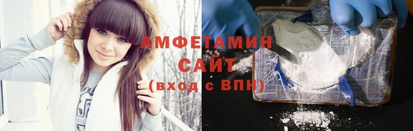 индика Абаза