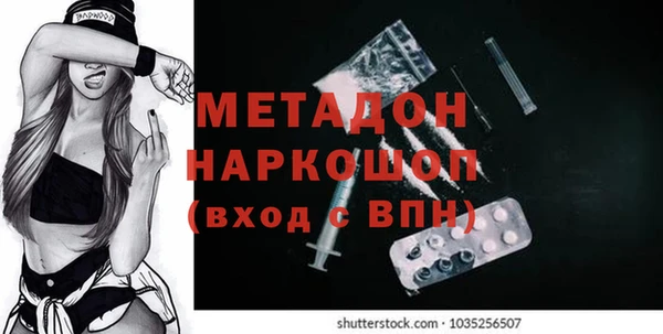 индика Абаза
