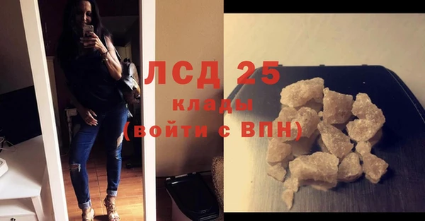 индика Абаза