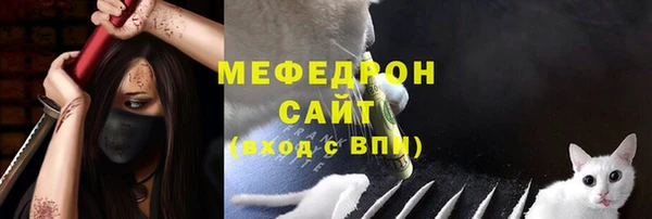индика Абаза