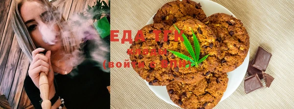 индика Абаза