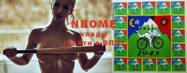 индика Абаза