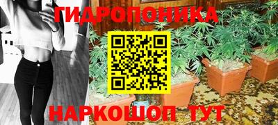 jwh Партизанск