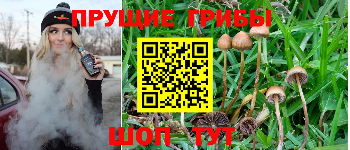 Псилоцибиновые грибы GOLDEN TEACHER Южноуральск